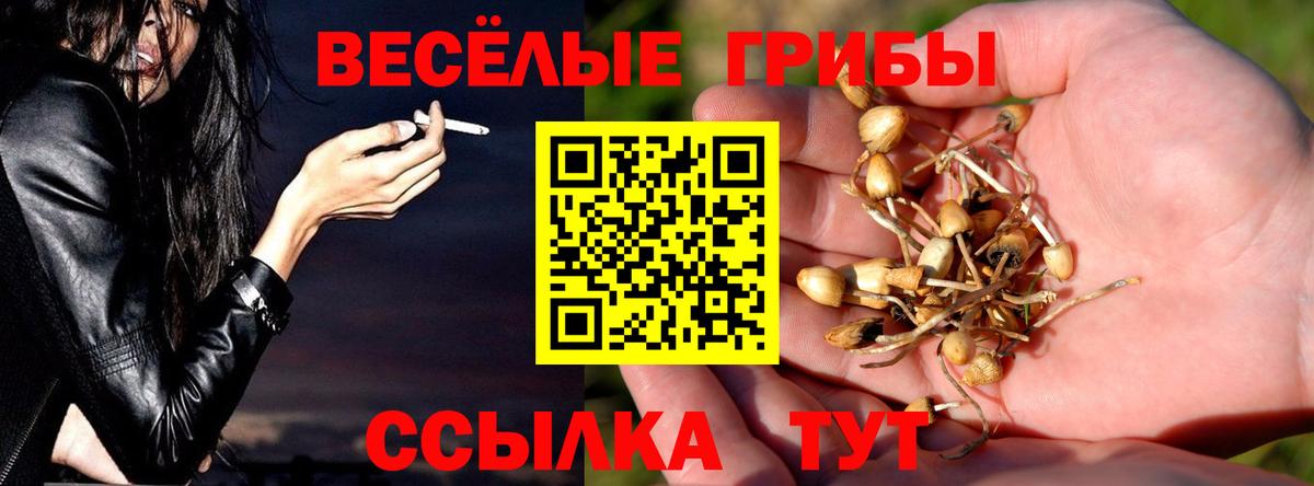 Галлюциногенные грибы мухоморы  Вход с VPN  Электросталь 